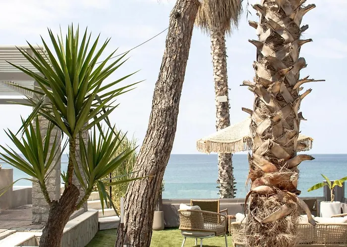 Ktima Papaoikonomou * Potos