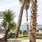 Ktima Papaoikonomou * ポトス