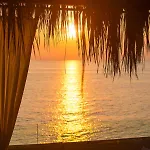 Ktima Papaoikonomou * ポトス