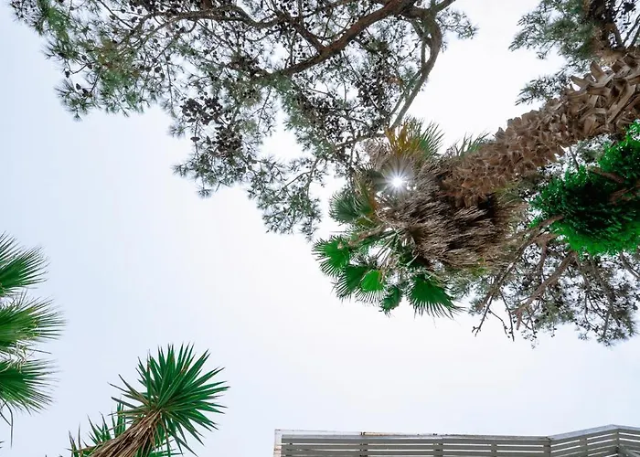 κτήμα παπαοικονόμου