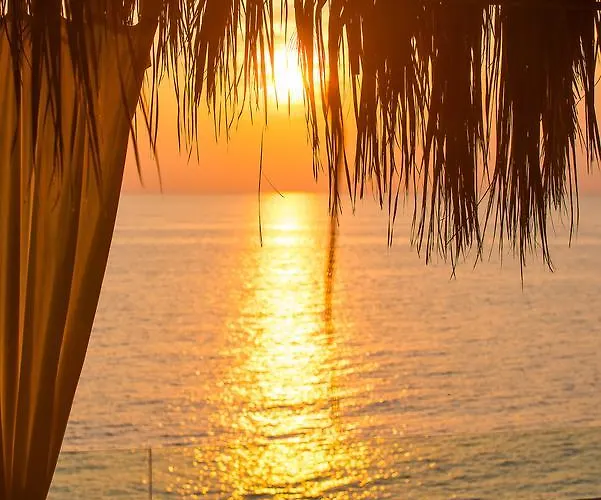 κτήμα παπαοικονόμου * Ποτός